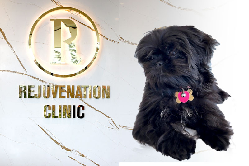 Cookie Khanoom - Rejuvenation Clinic - Vienna Med Spa